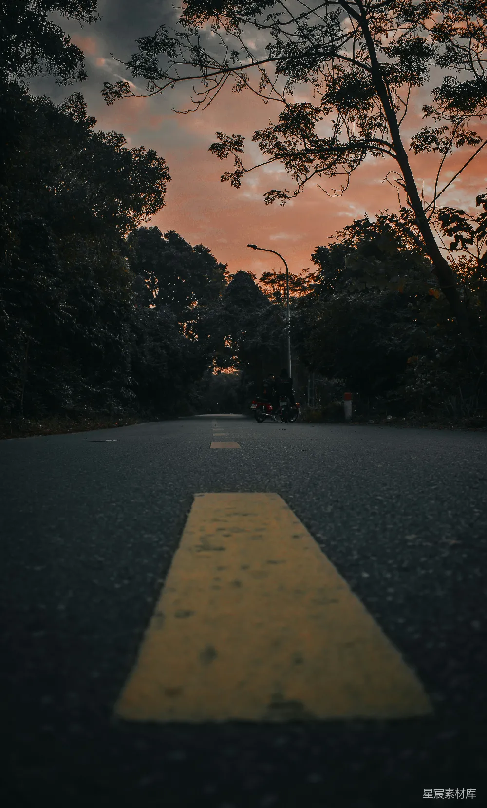 高清摄影 黄昏 骑行 森林 公路 宁静 黄昏中的骑行