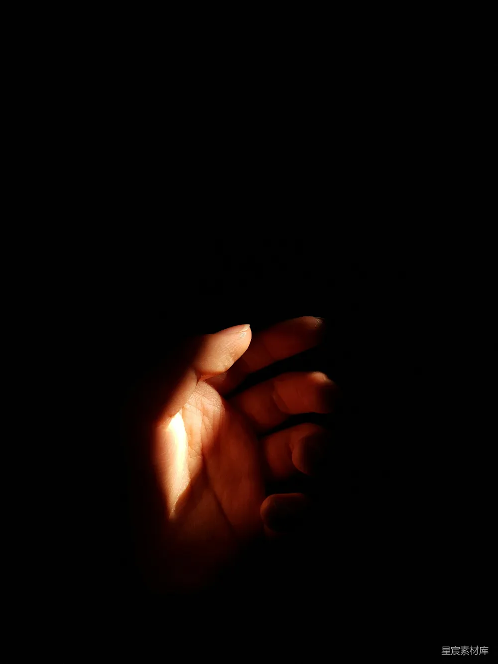 高清摄影 一个人的手握着一个在黑暗中点燃的物体
