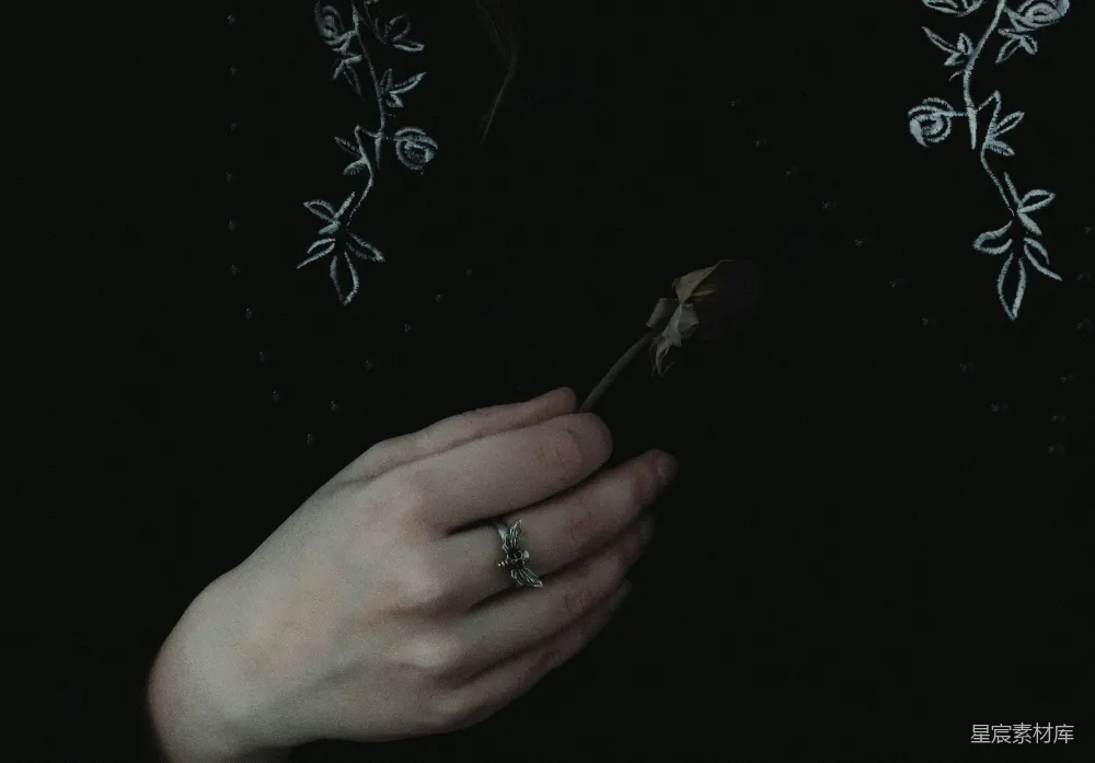 高清摄影 暗黑风格 手部特写 枯萎花朵 神秘氛围 情感表达 暗夜中的手与枯萎花朵