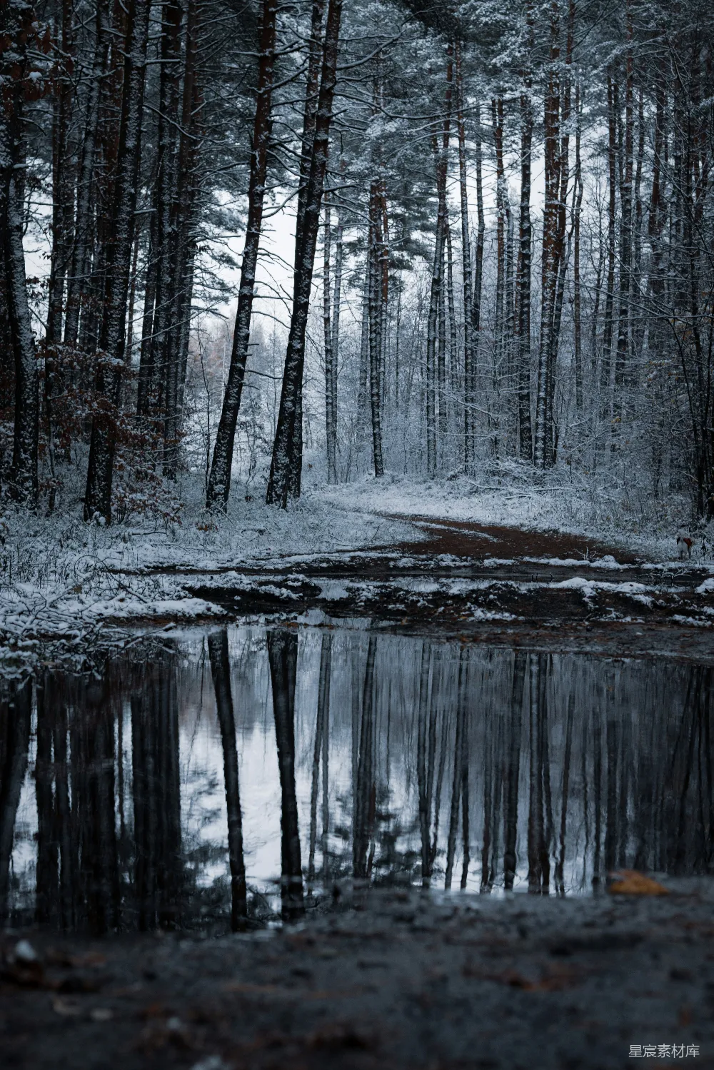高清摄影 冬景 雪景 湖面 自然 宁静 冬日雪景中的宁静湖面