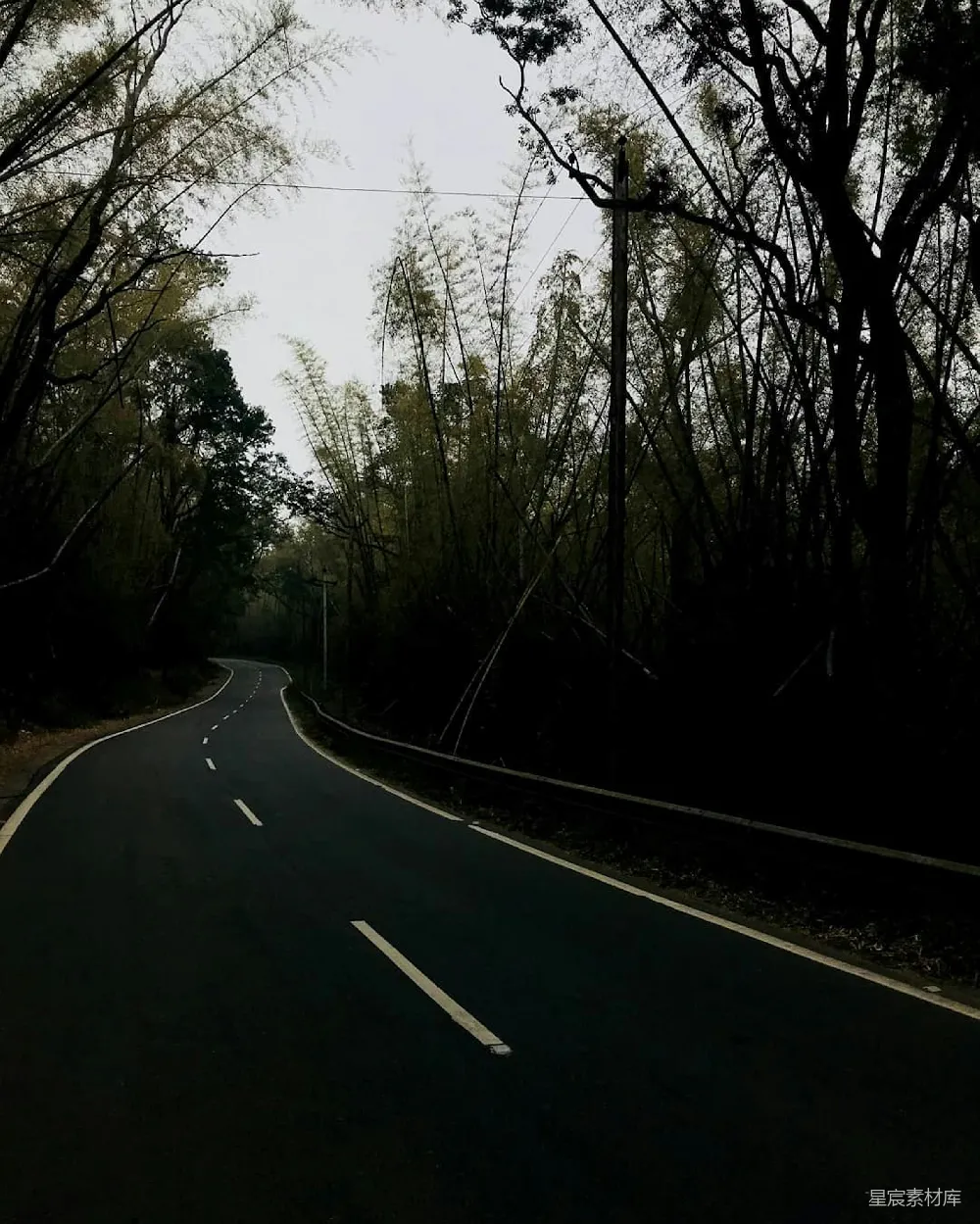 高清摄影 自然 道路 竹林 宁静 乡村 幽静的竹林小路