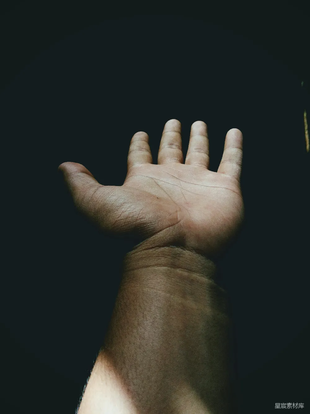 高清摄影 手掌 特写 细节 手部 摄影 手掌特写