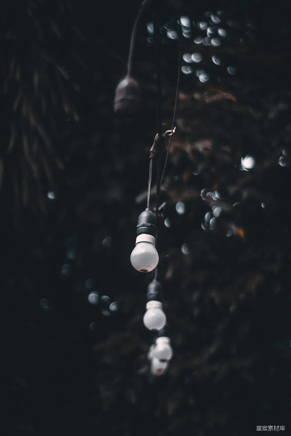 高清摄影 灯泡 夜晚 悬挂 黑暗 户外 悬挂的灯泡在夜晚