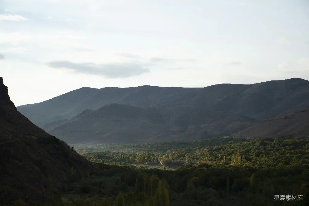 高清摄影 自然风光 山地 森林 宁静 户外 山峦与森林的宁静风光