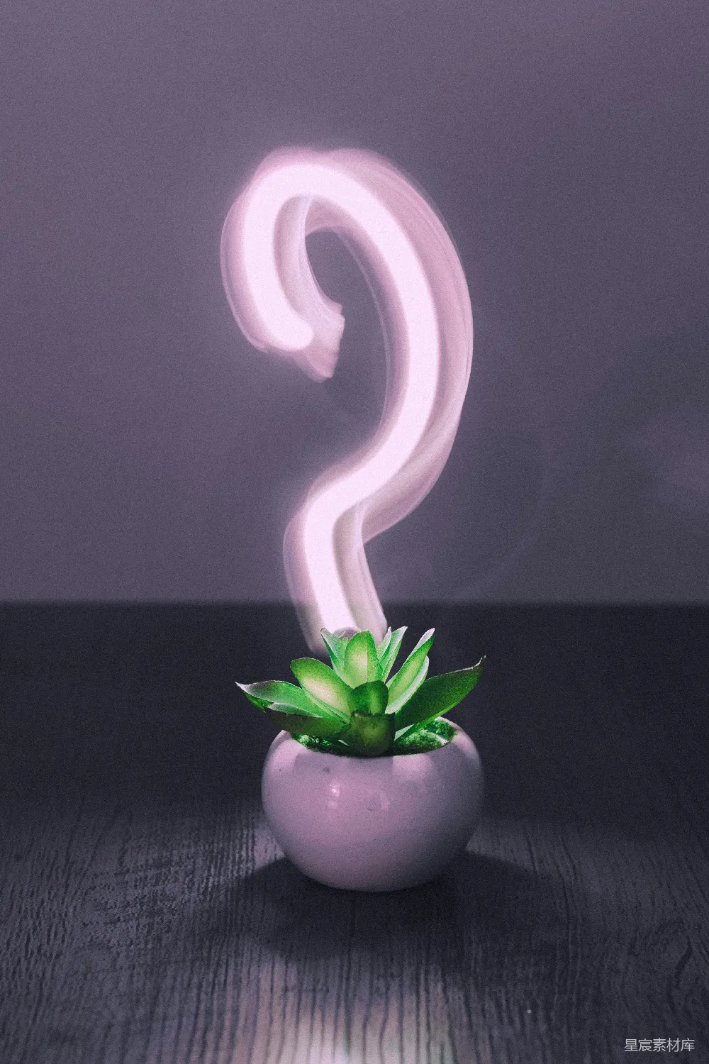 高清摄影 植物 光效 创意 室内 自然 植物与光的对话