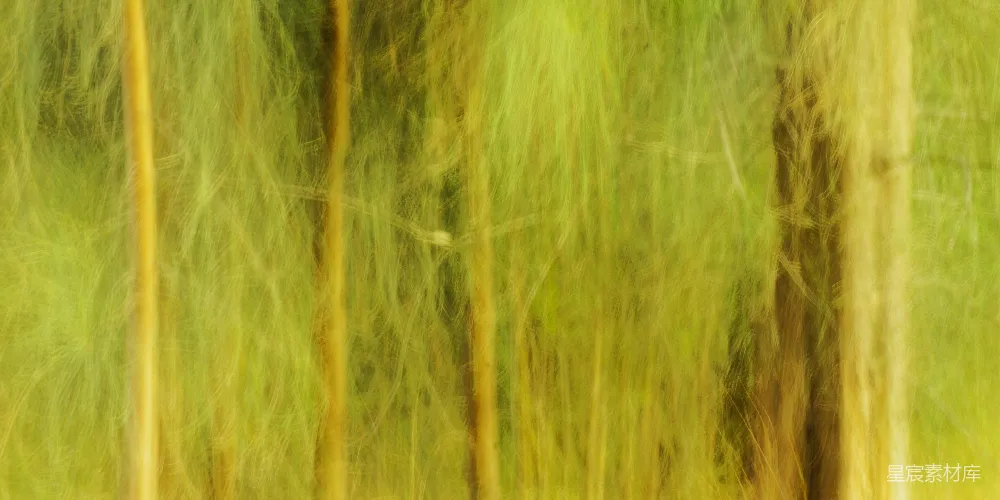 高清摄影 抽象 自然 色彩 艺术 背景 金色与绿色的交织