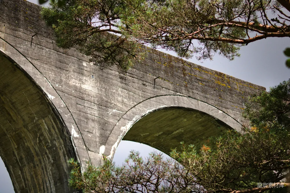 高清摄影 桥梁 自然 历史 户外 风景 古老石桥与松树