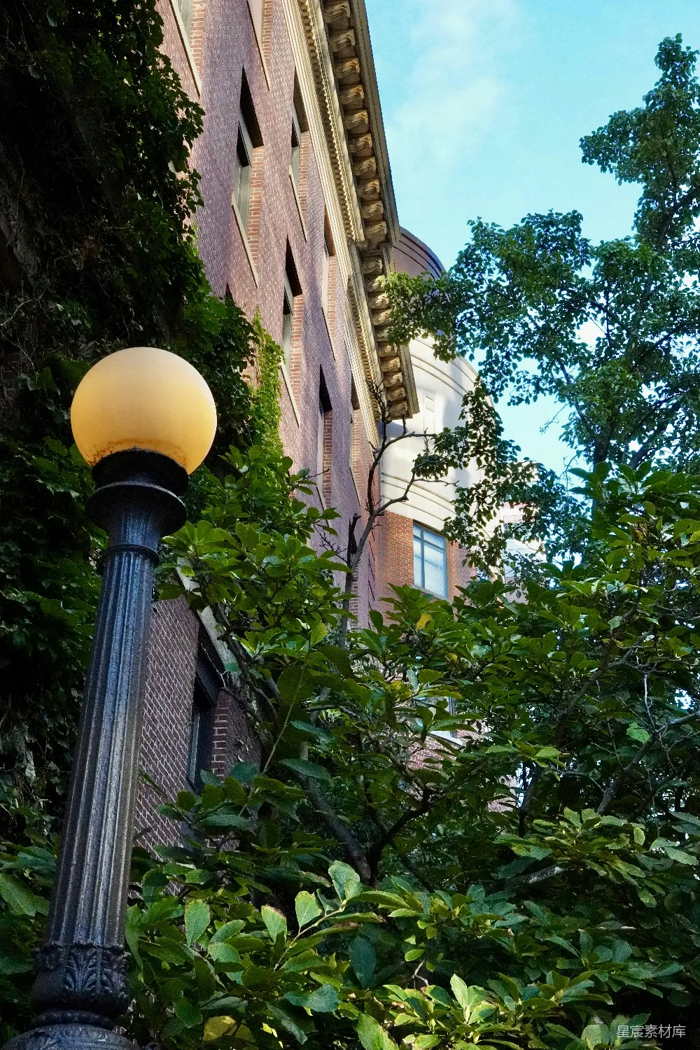 高清摄影 古建筑 灯光 自然 城市景观 历史建筑 古朴建筑与自然的和谐