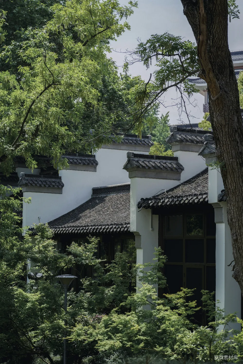 高清摄影 古建筑 园林 自然 宁静 传统 古建筑与绿树的和谐之美