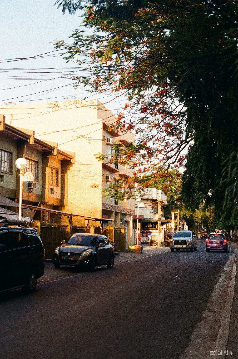高清摄影 城市 街道 夕阳 树木 住宅 夕阳下的宁静街道