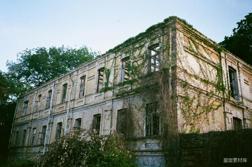 高清摄影 废弃建筑 复古风格 自然与城市融合 历史遗迹 摄影素材 荒废的砖瓦建筑