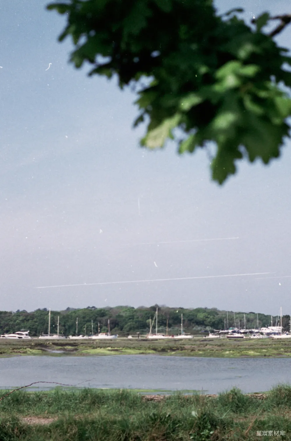 高清摄影 自然风光 宁静 湖景 户外 夏日 湖畔的静谧时光