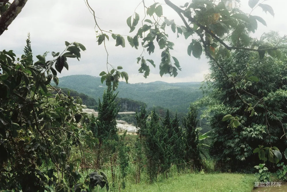高清摄影 自然风光 森林 山地 绿色 宁静 山间绿意盎然的自然风景