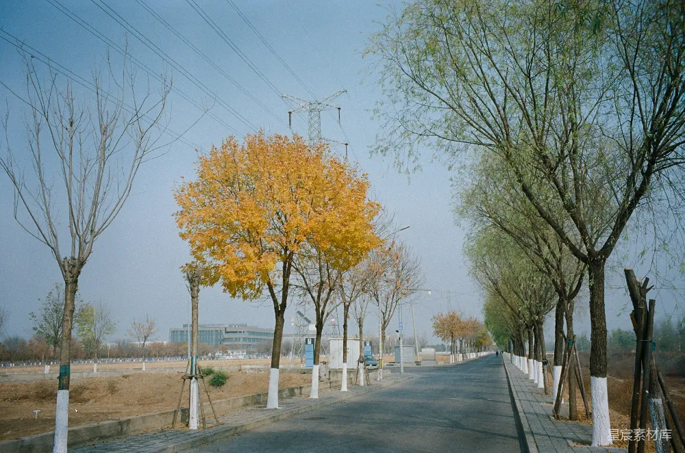 高清摄影 乡村 秋天 道路 自然 宁静 秋日的乡间小路