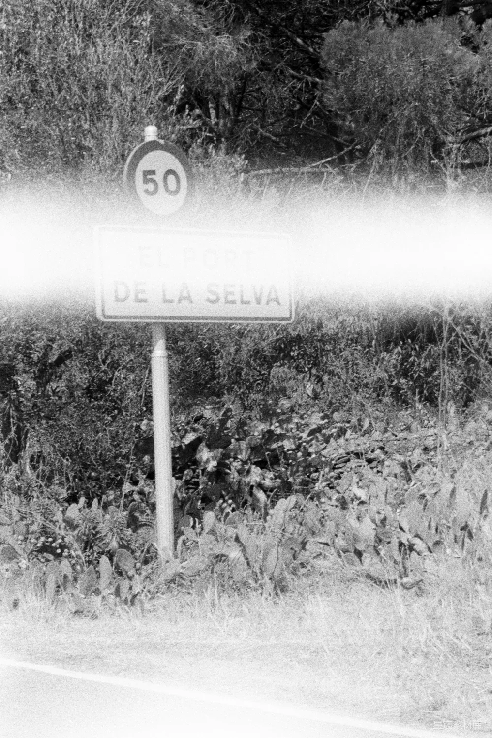 高清摄影 乡村 限速 黑白 自然 路标 El Papi de la Selva限速标志