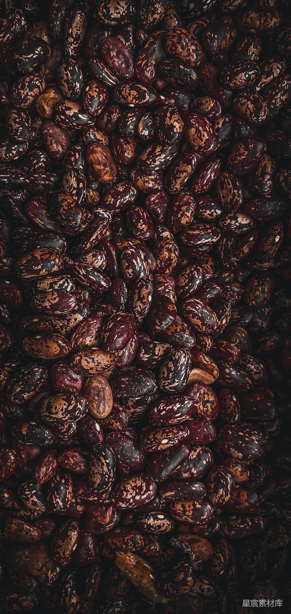 高清摄影 豆子 斑驳 自然 纹理 背景 斑驳的豆子纹理
