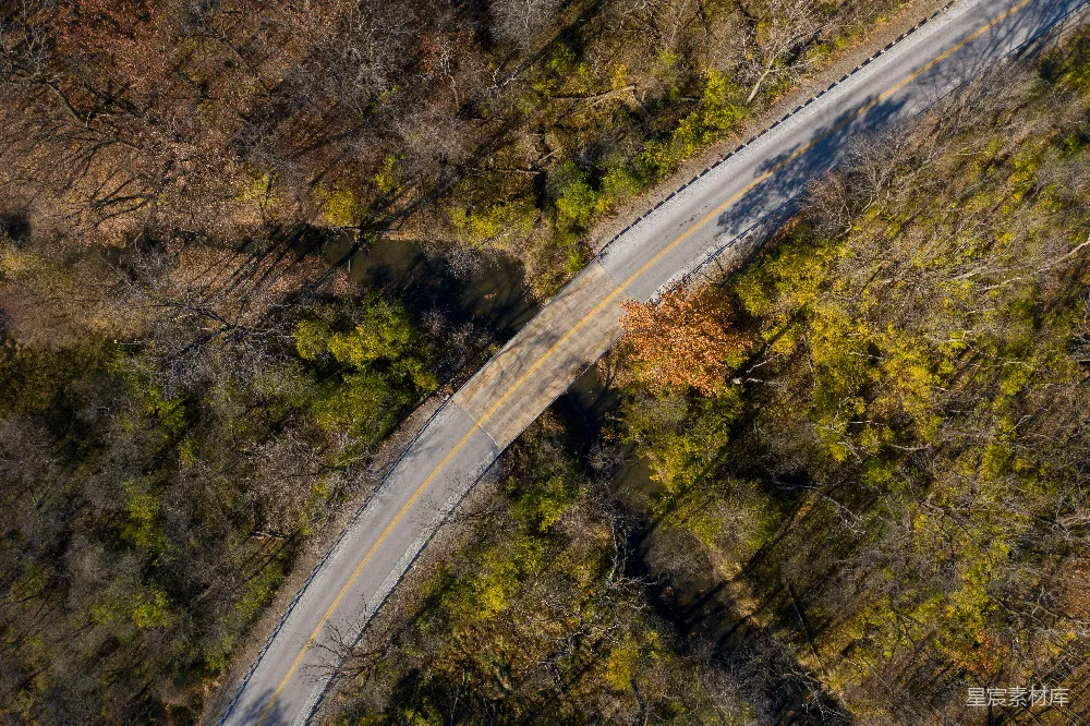 高清摄影 森林 空中俯瞰 道路 自然风光 秋季 森林中的蜿蜒道路
