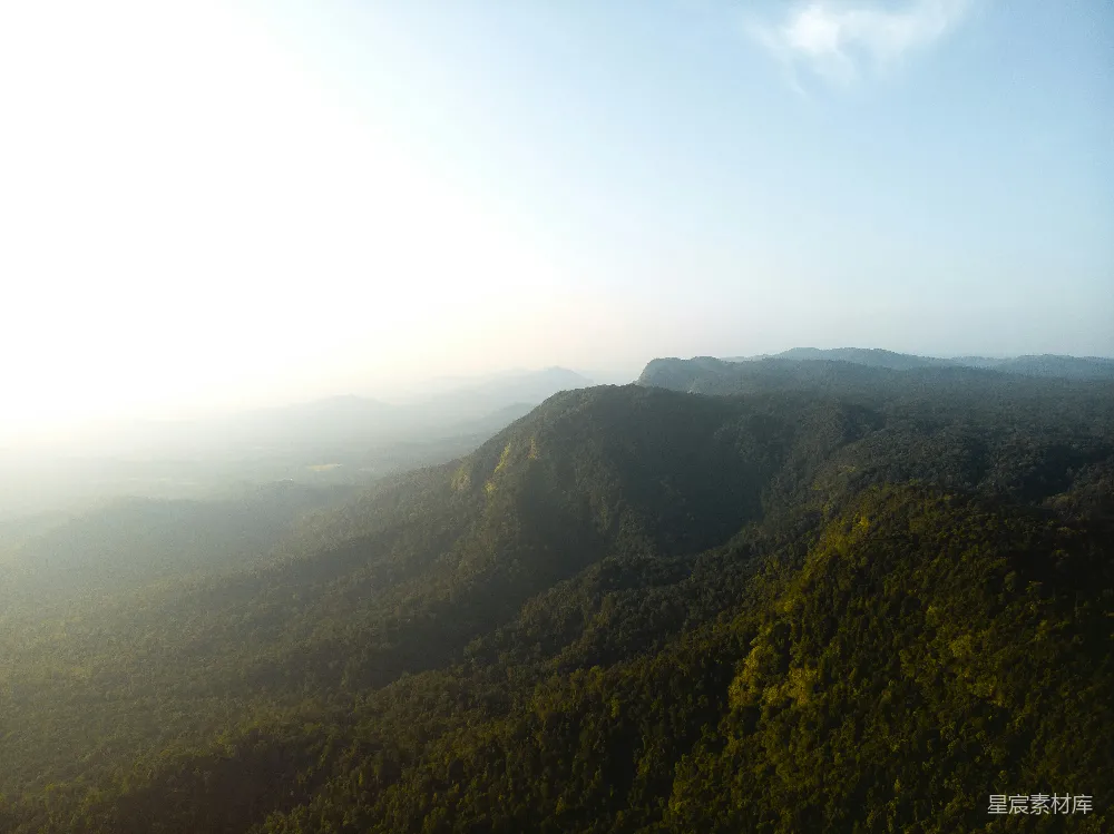 高清摄影 自然风光 航拍 森林 清晨 宁静 山间晨曦