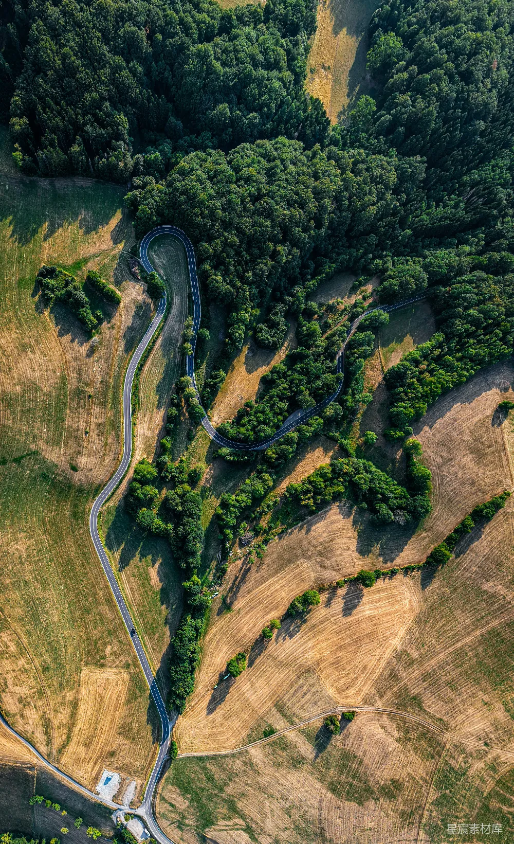 高清摄影 航拍 森林 公路 自然 风景 蜿蜒的森林公路航拍