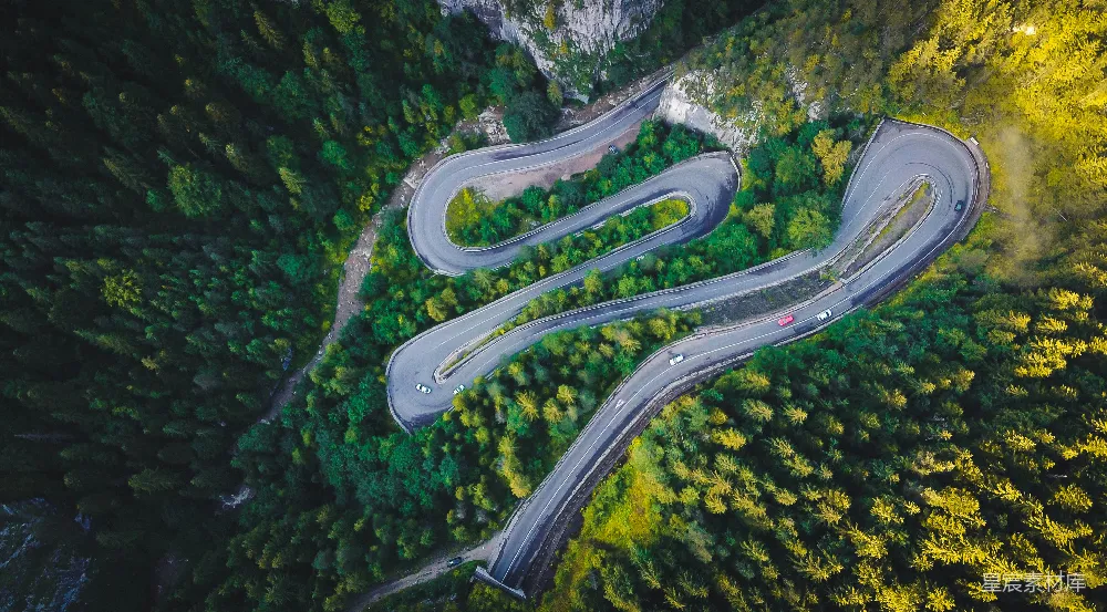 高清摄影 森林 山路 蜿蜒 航拍 自然 森林中的蜿蜒山路