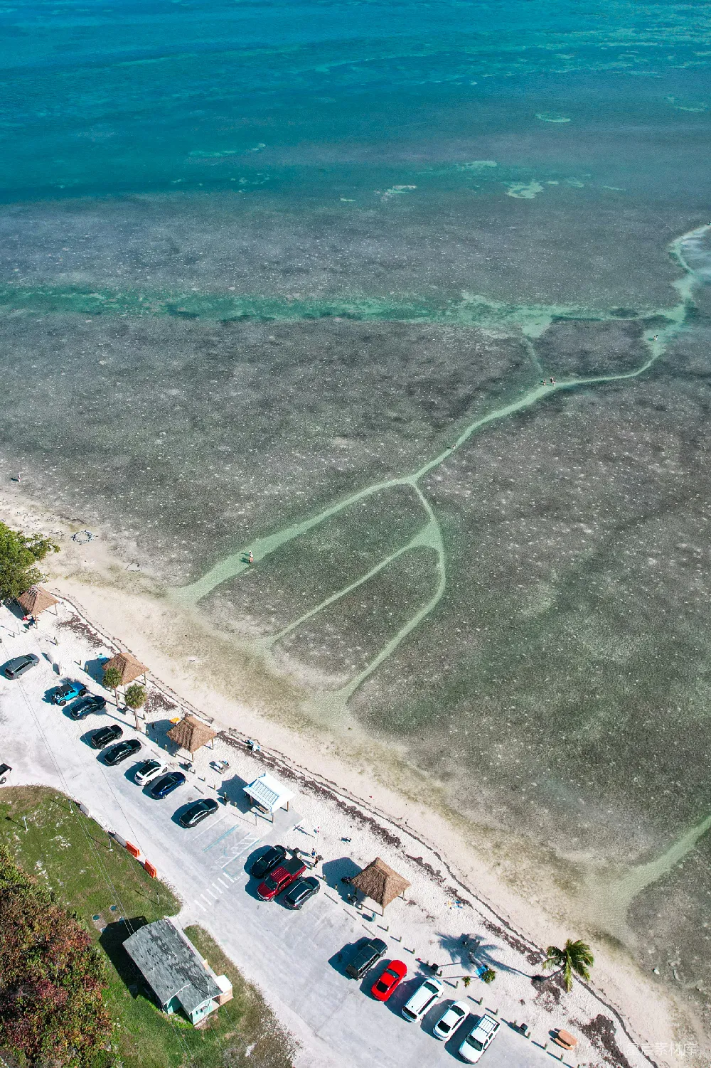 高清摄影 海滩 航拍 珊瑚礁 自然美景 休闲度假 海滩上的车流与珊瑚礁