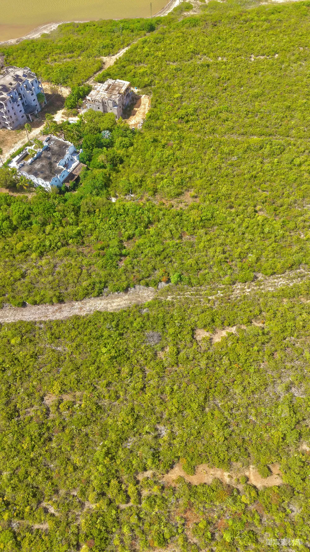 高清摄影 航拍 废弃建筑 自然环境 荒凉 乡村 被丛林包围的废弃建筑群
