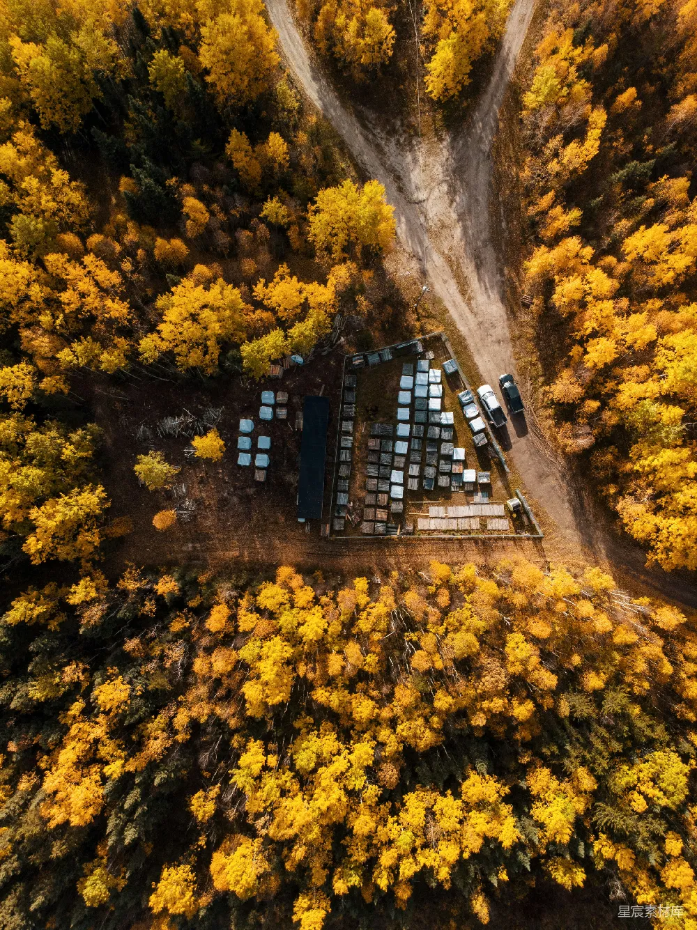 高清摄影 秋季 森林 航拍 秘密基地 自然 秋日森林中的秘密基地