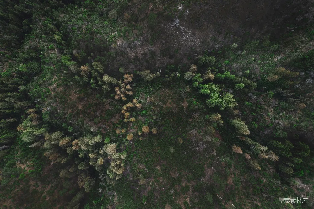高清摄影 森林 自然 航拍 生态 风景 航拍森林