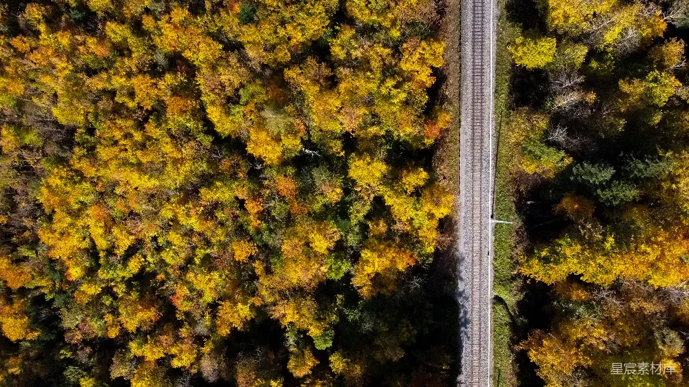 高清摄影 秋景 森林 铁路 航拍 自然 秋日森林中的铁路