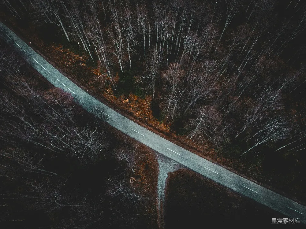 高清摄影 森林 夜景 道路 航拍 宁静 夜幕下的森林道路