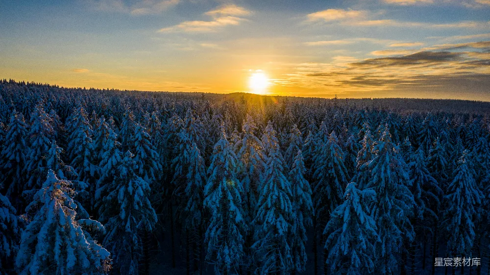 高清摄影 冬季 森林 日落 雪景 自然 冬日森林日落