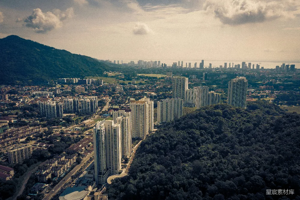 高清摄影 城市景观 自然环境 都市风景 空中视角 城市与森林 城市与自然的和谐共生