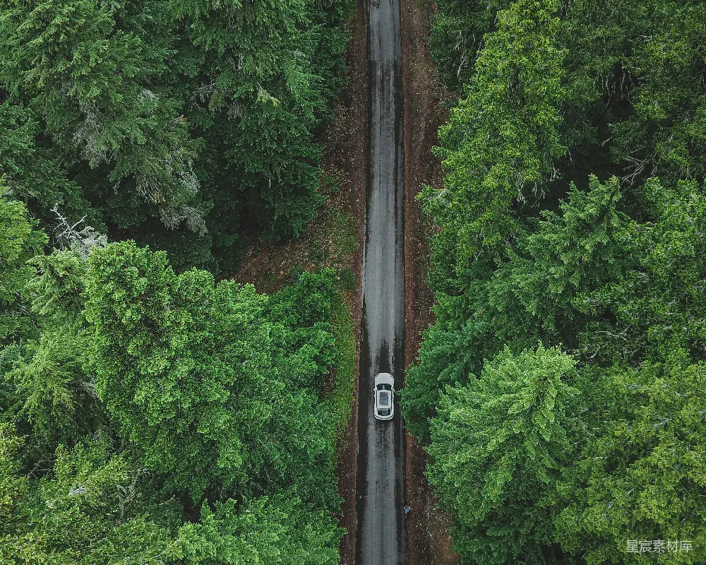 高清摄影 森林 道路 航拍 自然 旅行 森林中的孤独旅程