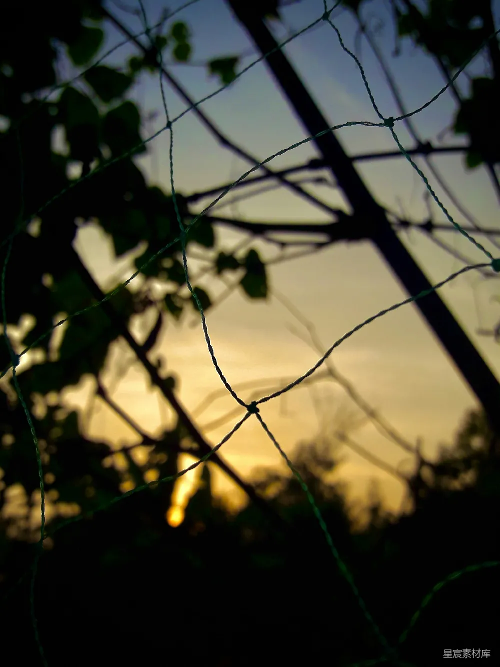 高清摄影 夕阳 网孔 自然 黄昏 宁静 夕阳透过网孔