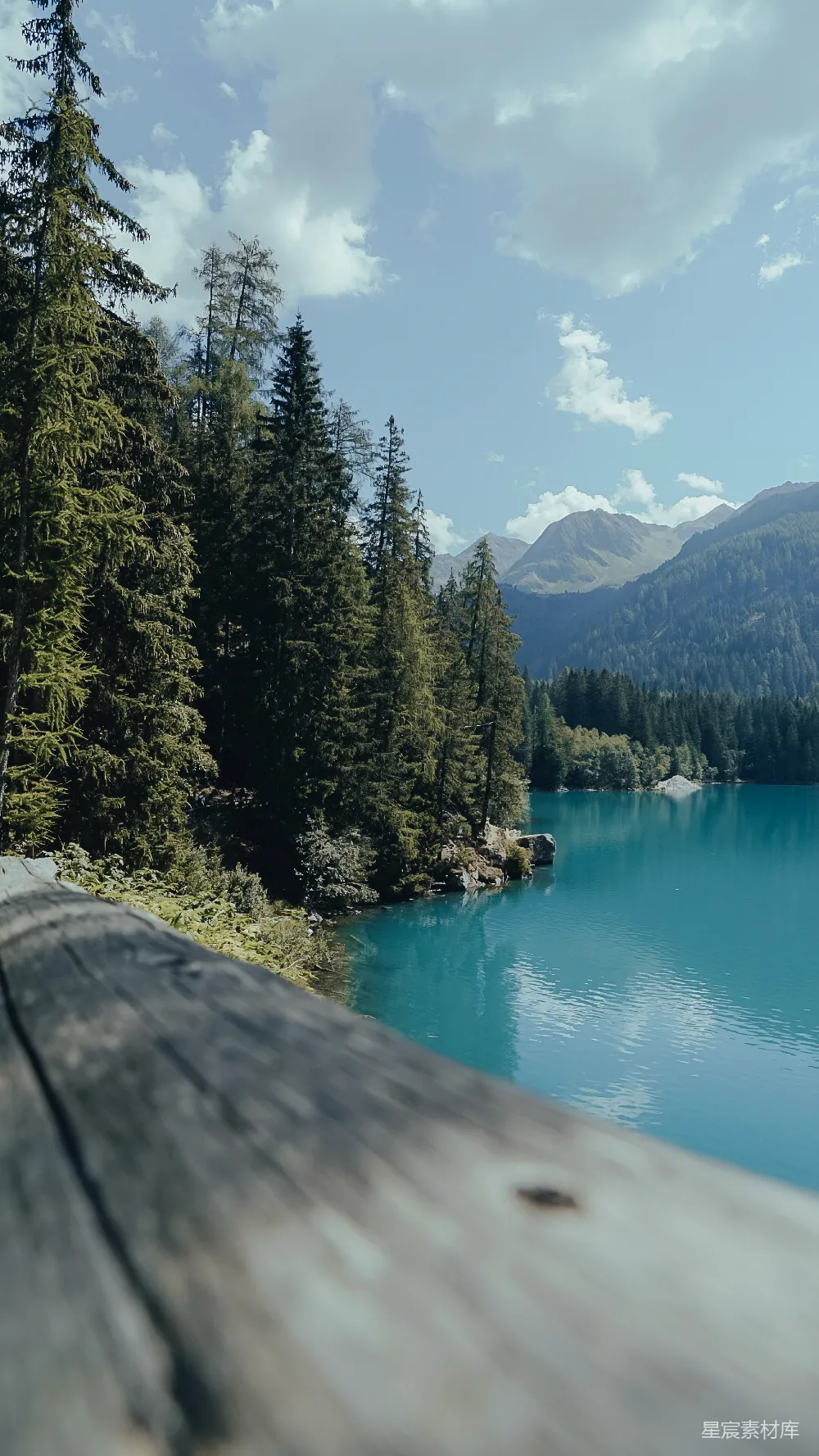 高清摄影 湖景 宁静 自然 风景 户外 湖畔的宁静时光