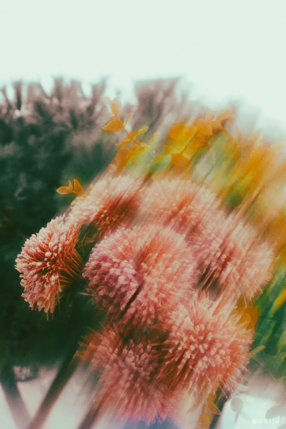 高清摄影 模糊 花朵 自然 抽象 艺术 模糊的花丛