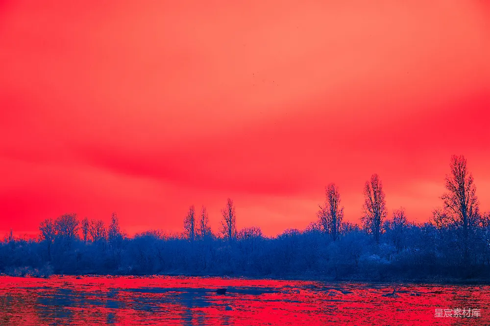 高清摄影 夕阳 湖面 树木 剪影 宁静 红色黄昏中的湖面与树木剪影