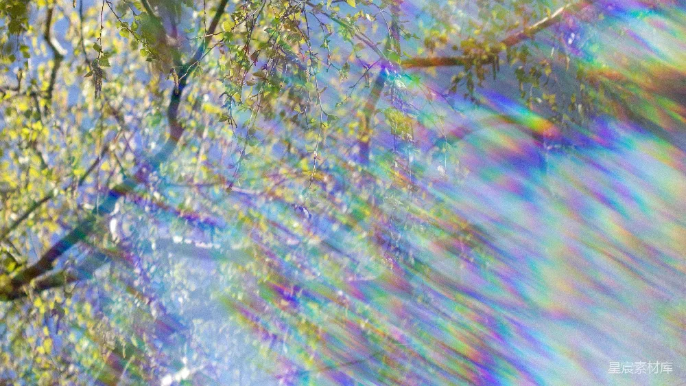 高清摄影 彩虹光束 自然景观 梦幻 光影效果 户外场景 彩虹光束与枝叶交织的梦幻场景