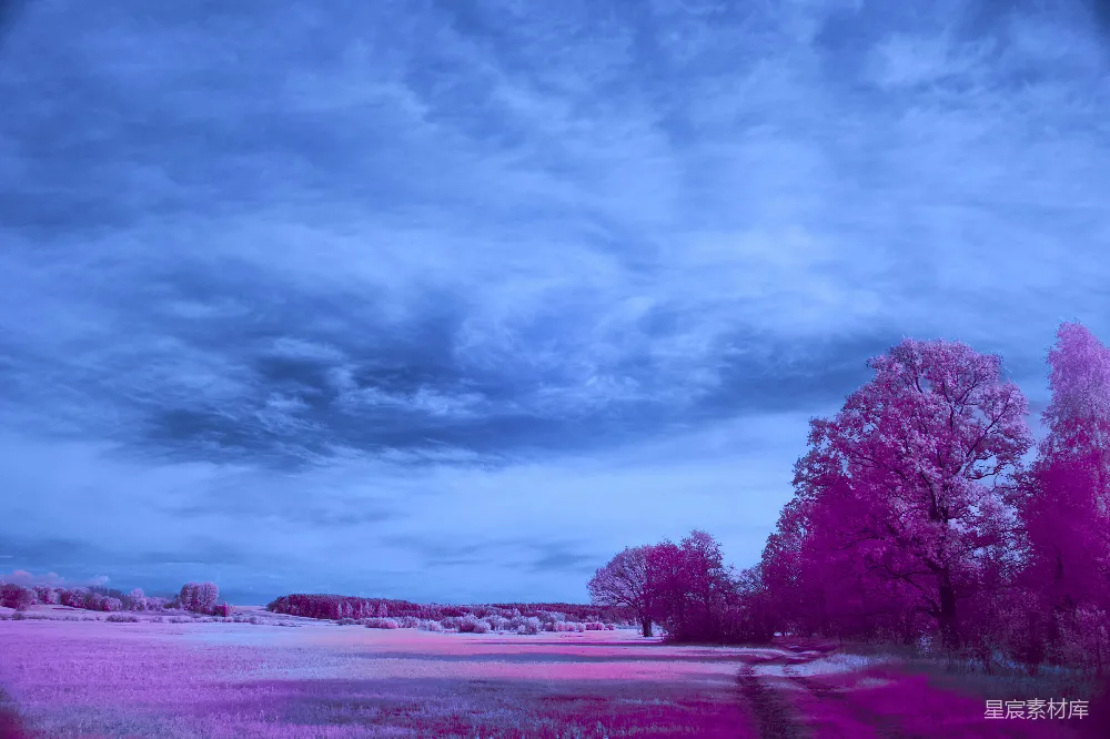 高清摄影 风景 梦幻 色彩 乡村 黄昏 梦幻紫蓝色调的乡村黄昏