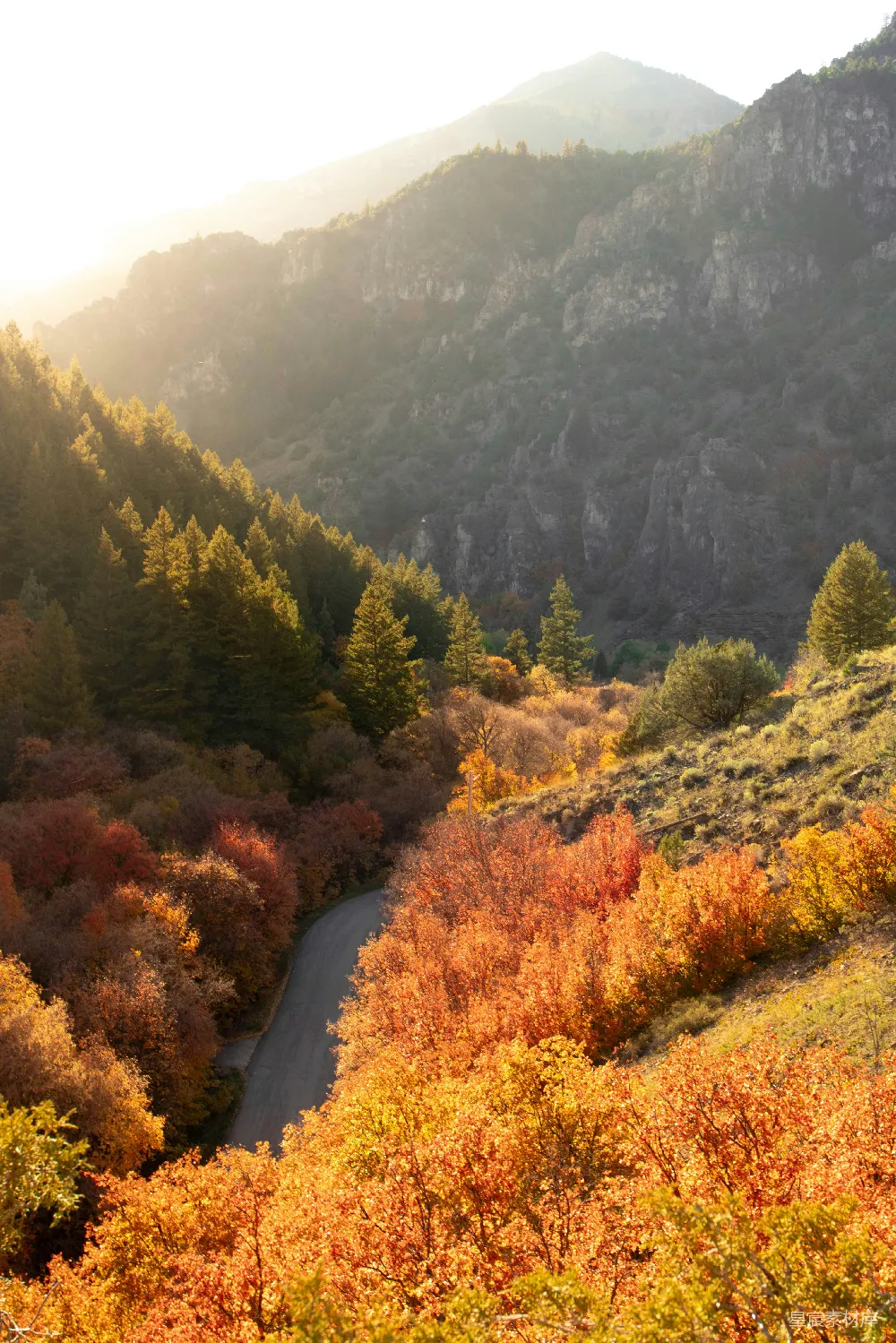 高清摄影 秋天 自然 风景 山路 色彩 秋日山间小路