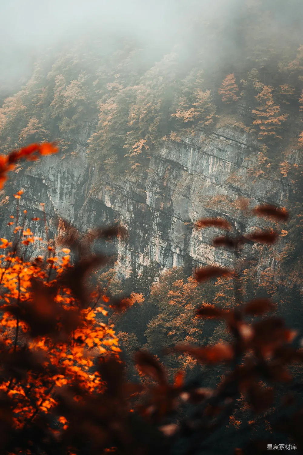 高清摄影 秋季 山景 晨雾 自然风光 户外 秋日山峦的静谧晨雾