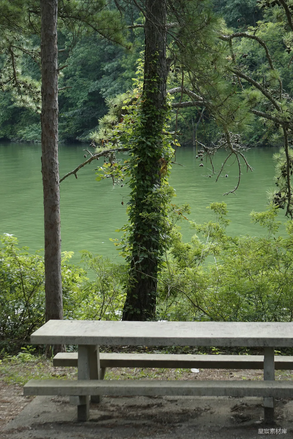 高清摄影 自然 宁静 户外 湖泊 休闲 湖边静谧的长椅