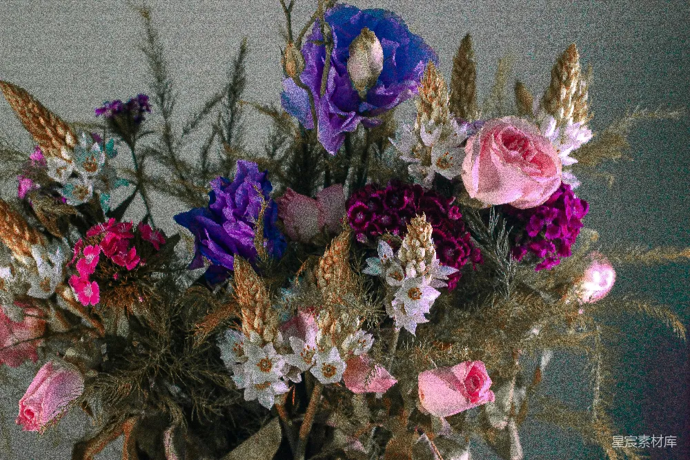 高清摄影 干花 插花 紫色 艺术 装饰 紫色系干花艺术插花