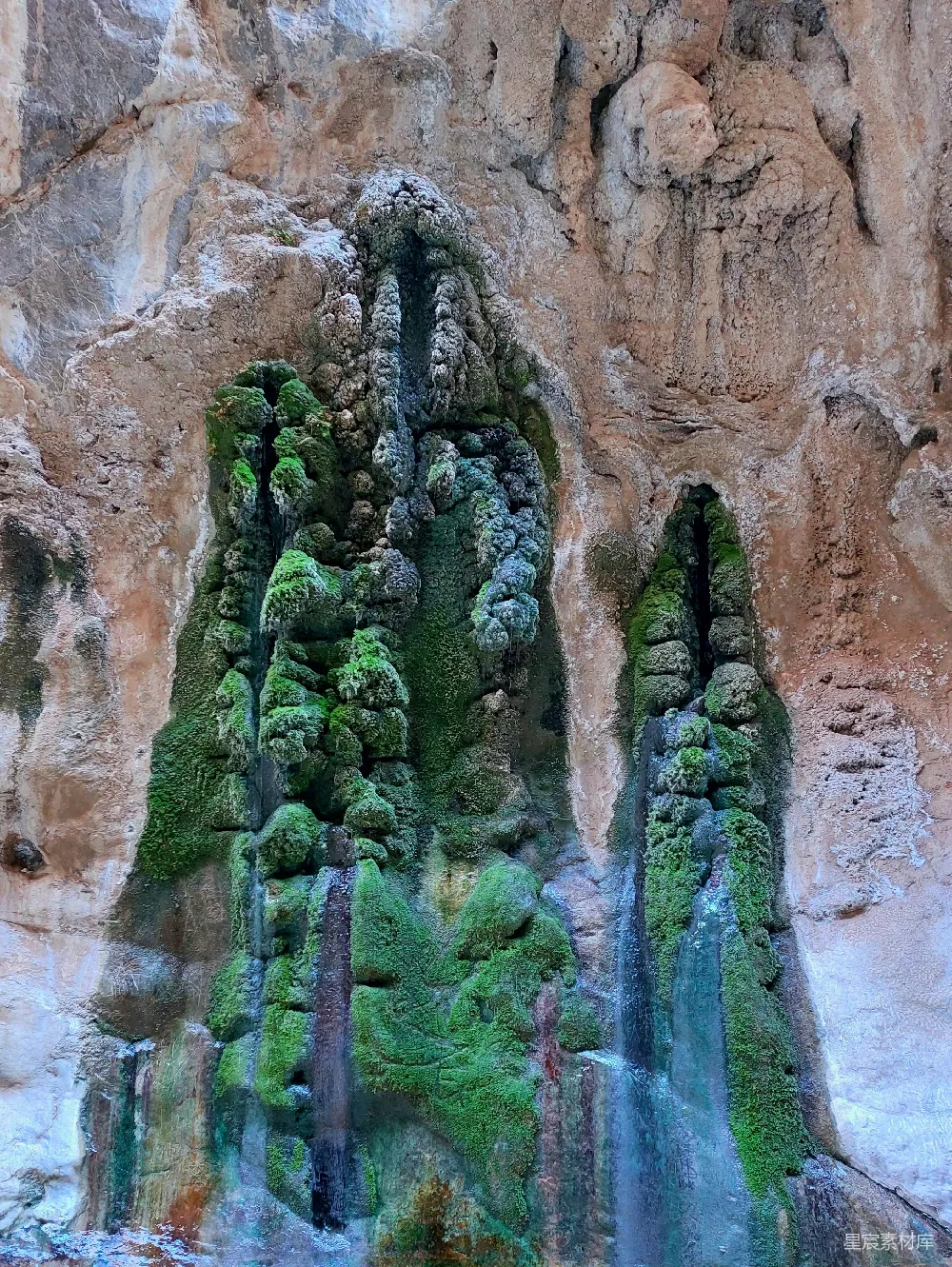 高清摄影 自然景观 苔藓 岩石 水源 户外 岩壁间的苔藓瀑布