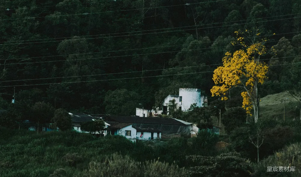 高清摄影 乡村 自然 宁静 田园风光 乡村生活 山间静谧的小村庄