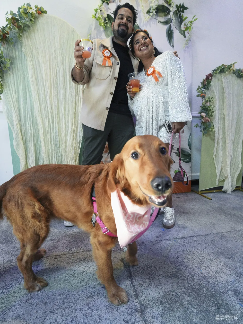 高清摄影 婚礼 宠物 幸福 家庭 生活 幸福时刻：新人与爱犬的甜蜜合影
