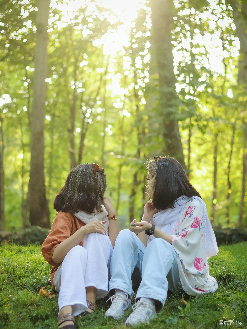 高清摄影 友谊 自然 阳光 户外 放松 在阳光下的森林对话