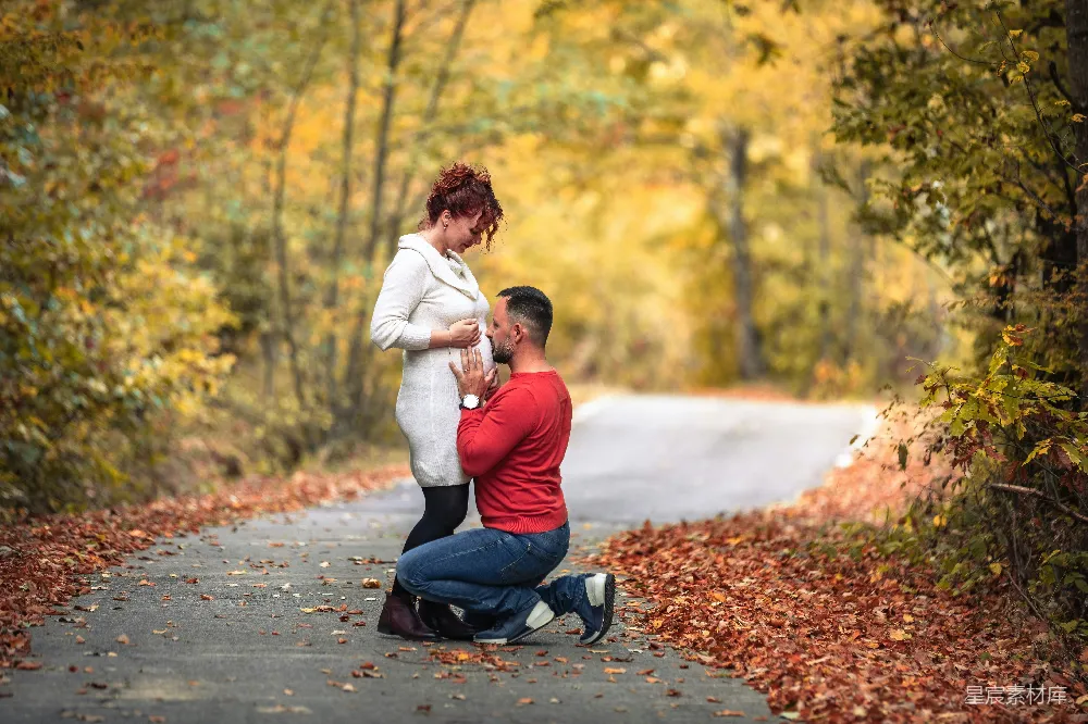 高清摄影 爱情 求婚 秋日 自然 幸福 秋日森林中的求婚瞬间
