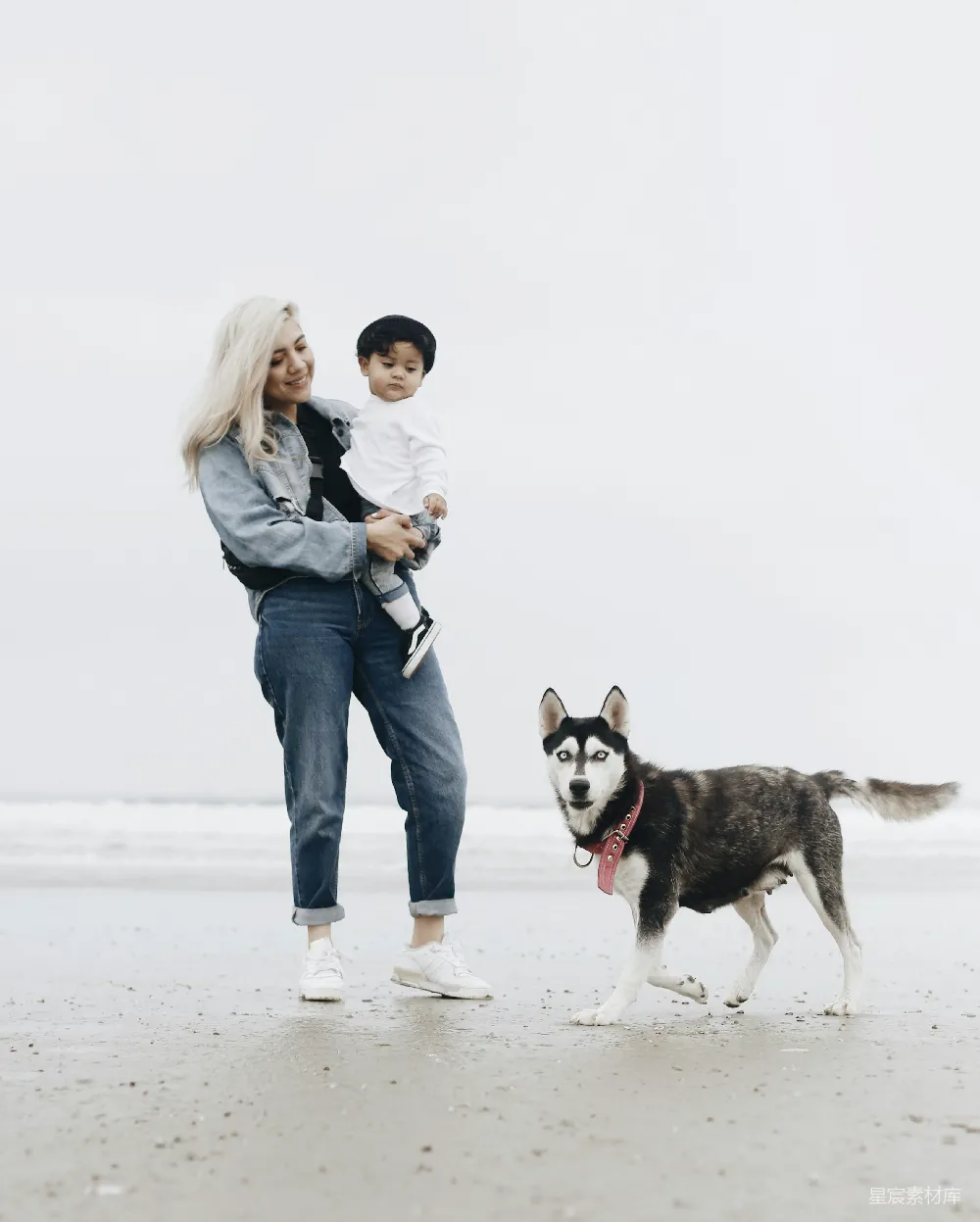 高清摄影 家庭 海滩 宠物 亲子 自然 海边的温馨时光：母子与哈士奇的幸福时光