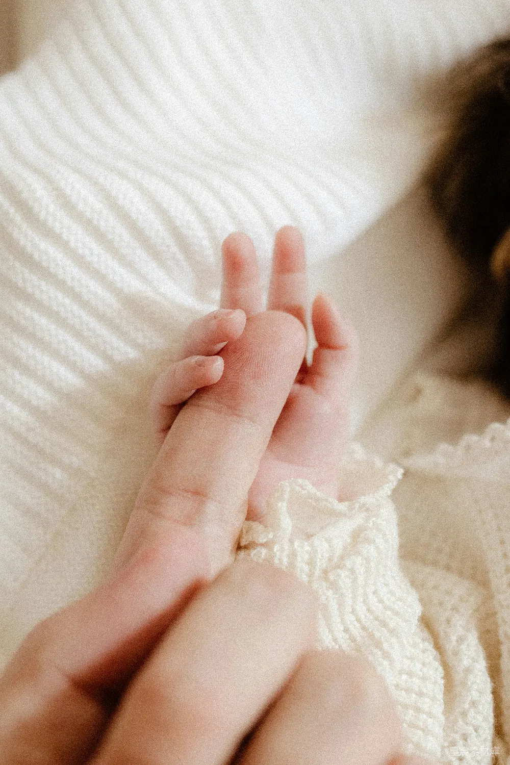 高清摄影 母爱 亲情 温馨 家庭 幸福 温馨的双手